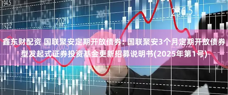 鑫东财配资 国联聚安定期开放债券: 国联聚安3个月定期开放债券型发起式证券投资基金更新招募说明书(2025年第1号)