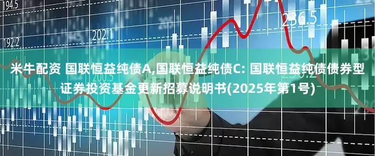 米牛配资 国联恒益纯债A,国联恒益纯债C: 国联恒益纯债债券型证券投资基金更新招募说明书(2025年第1号)
