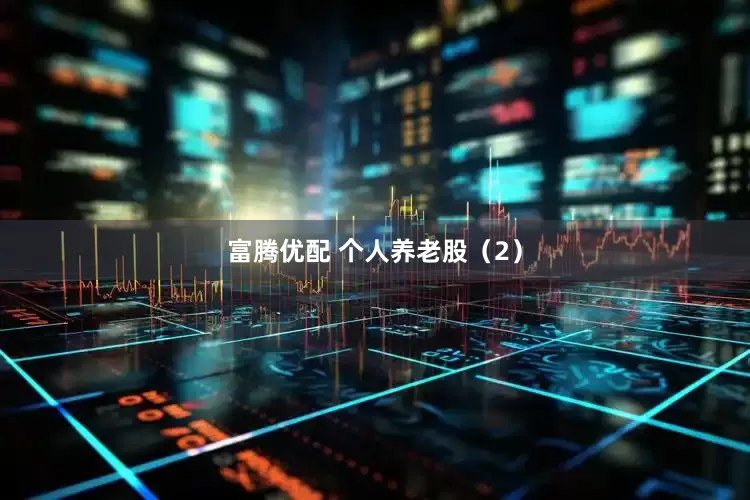 富腾优配 个人养老股（2）