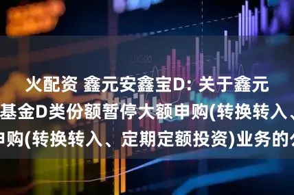 火配资 鑫元安鑫宝D: 关于鑫元安鑫宝货币市场基金D类份额暂停大额申购(转换转入、定期定额投资)业务的公告